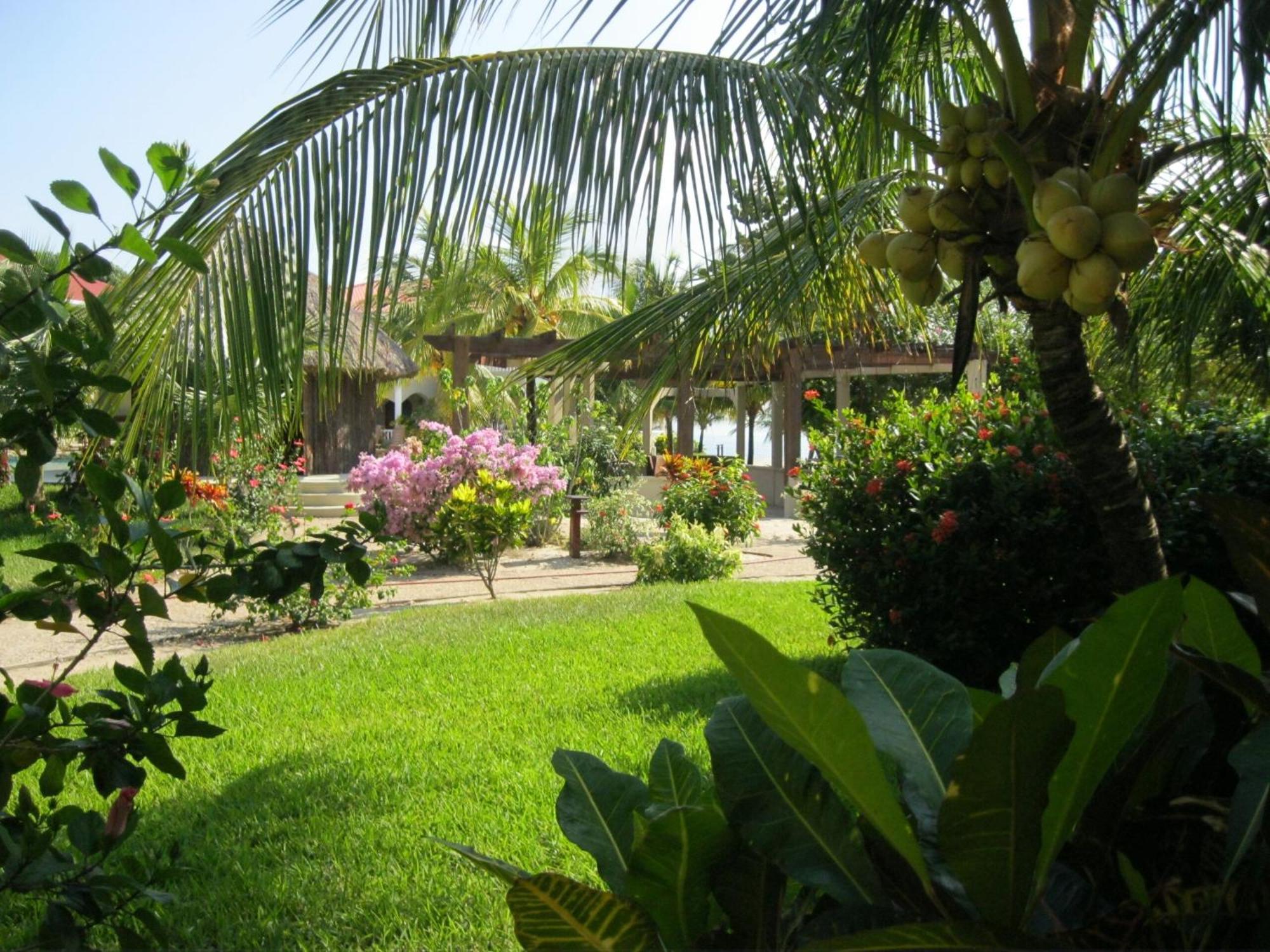 Los Porticos Placencia Habitación foto
